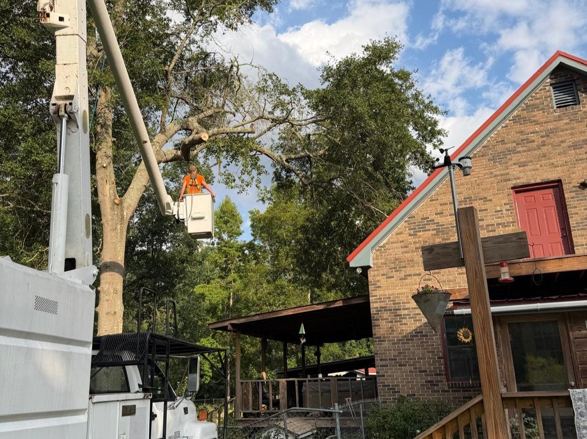 El Costeño Tree Service LLC